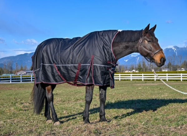 Horse Rain Sheets