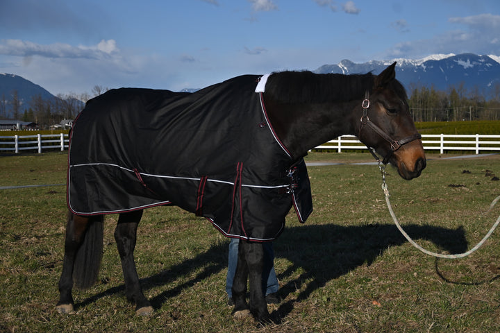 Horse Rain Sheets