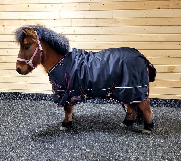 100 gram Fill Pony / Mini Horse Turnout Blanket (Waterproof)