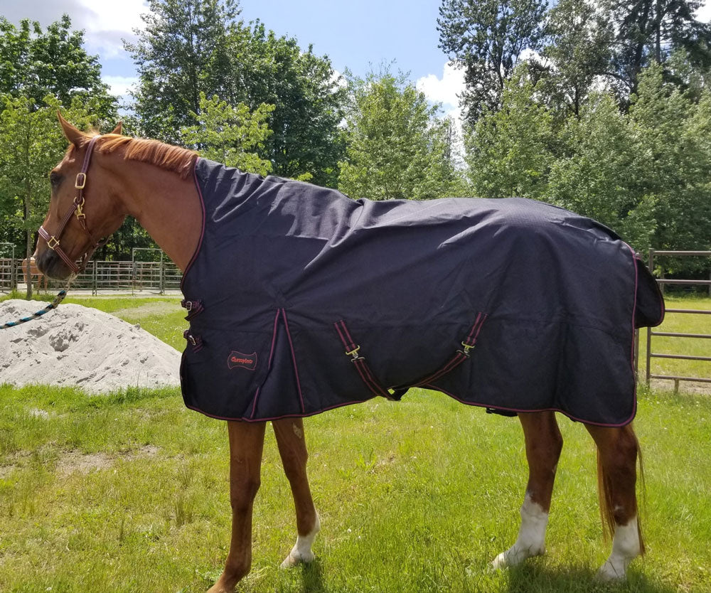 Horse High Neck Rain Sheets Champion Horse Blankets