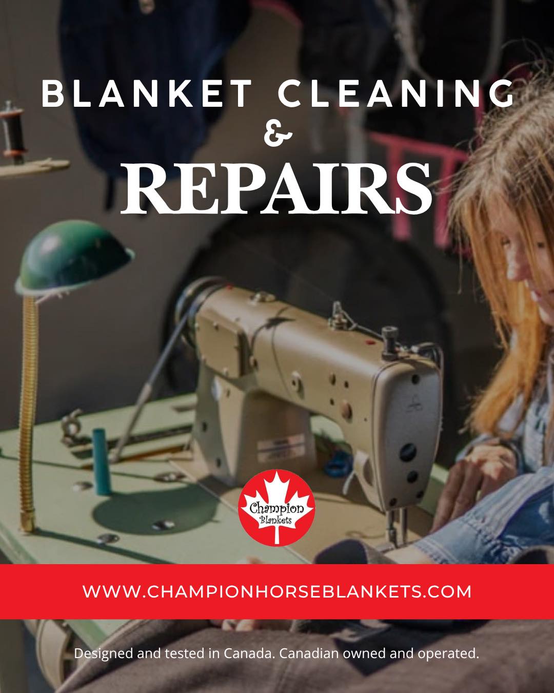 How to Care For and Store Your Horse Blankets for the Off-Season