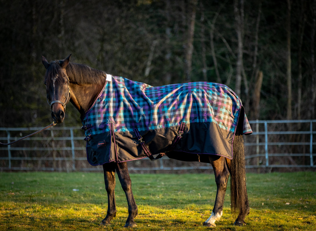 BMB Royal Grand Champion Pro Horse Stable Blanket with Hood Size 78.