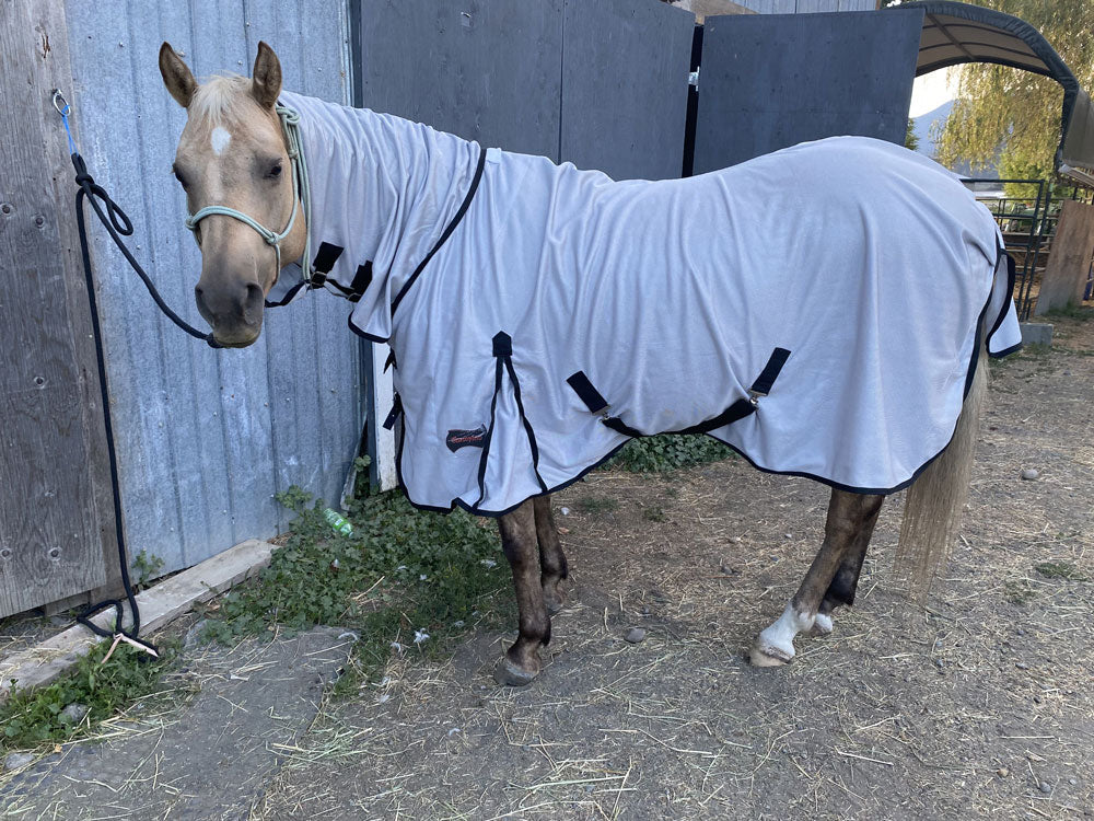Mini Horse Fly Sheets