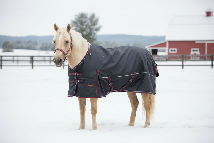 400 g pony turnout blanket with the same pony in a snowy pasture