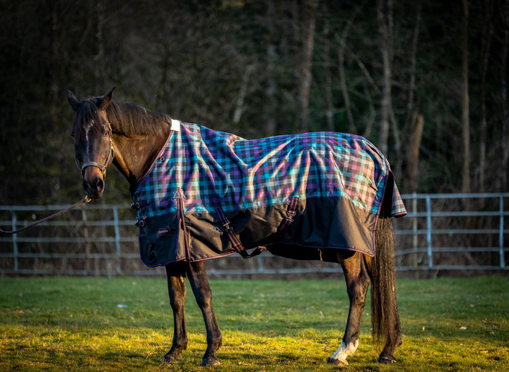 100 gram Fill Horse Turnout Blanket (Waterproof)