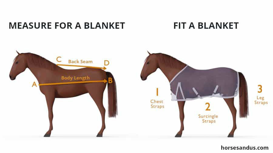 horse blanket sizing measurement chart