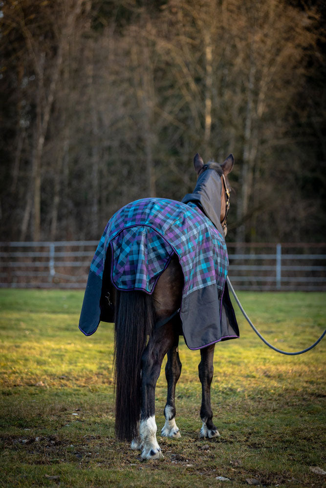 400 gram Fill Horse Turnout Blanket (Waterproof) – Champion Horse